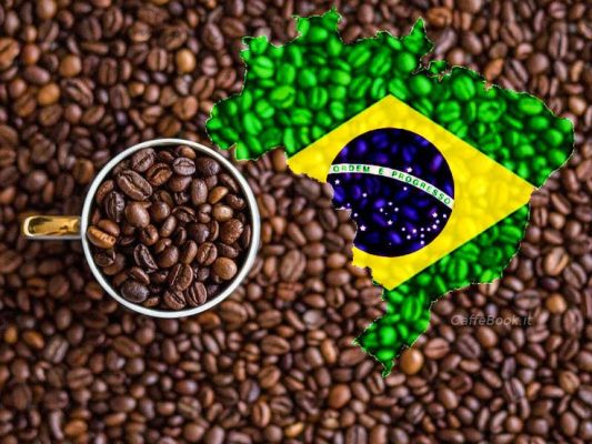 Giống cà phê và hương vị đặc trưng