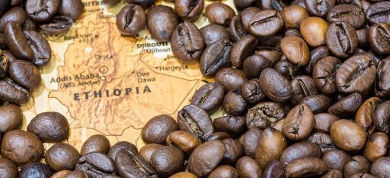 Ethiopia: Cái nôi tự nhiên của cà phê Arabica